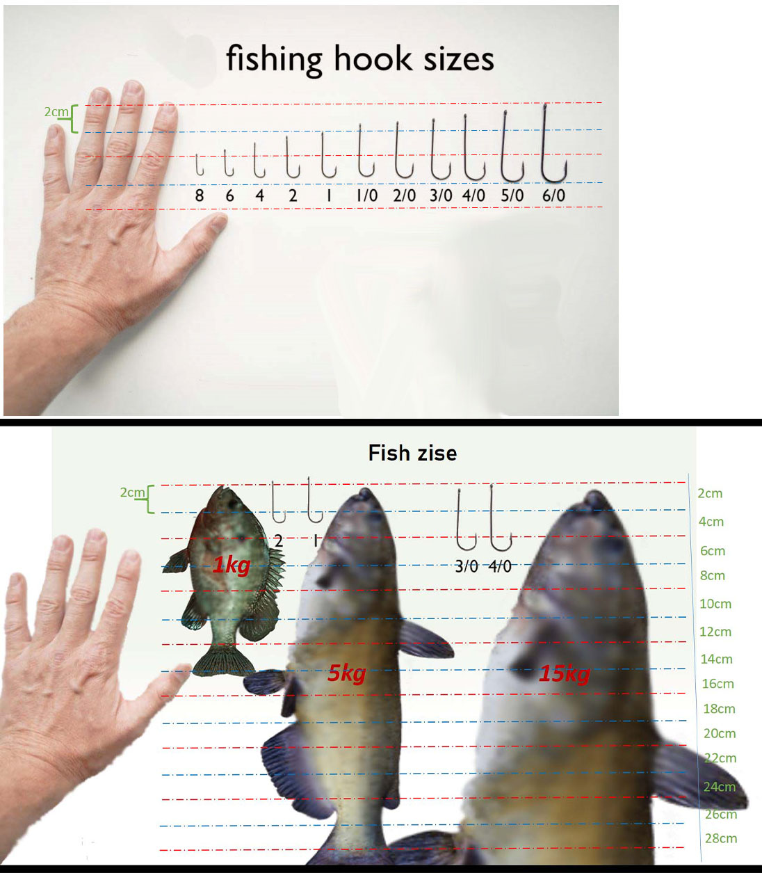 hookZiseScale.jpg