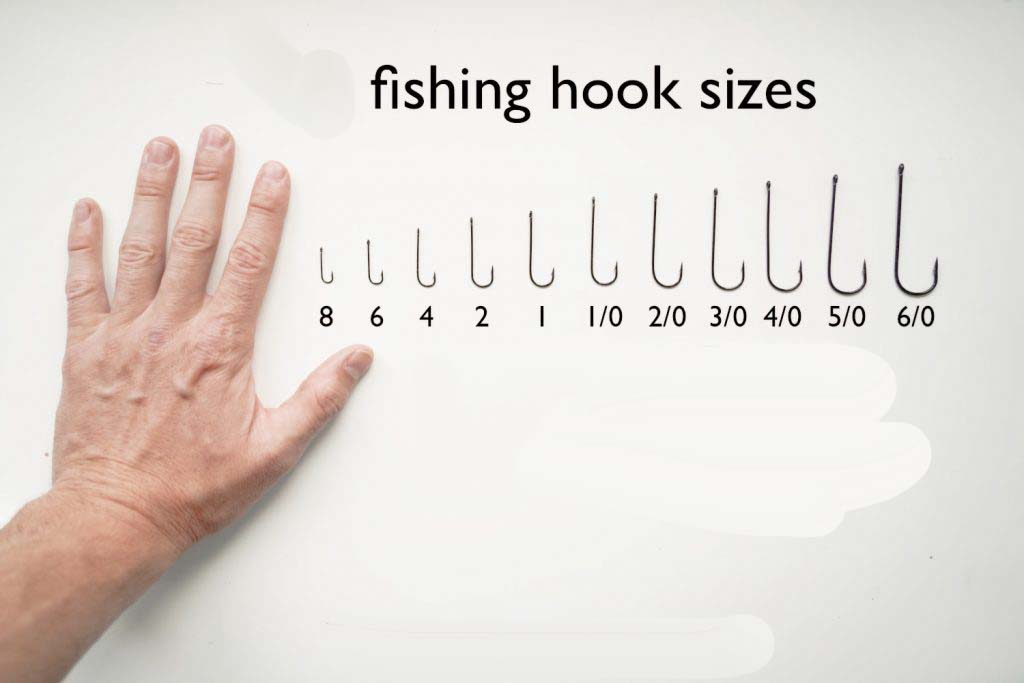 roomHookZiseScale
